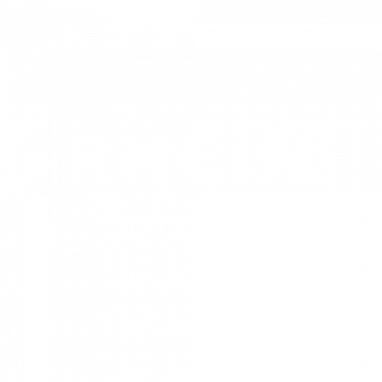 RHEINPLACES Logo